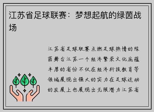 江苏省足球联赛：梦想起航的绿茵战场