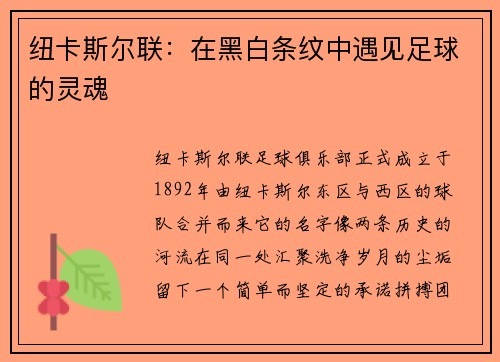 纽卡斯尔联：在黑白条纹中遇见足球的灵魂